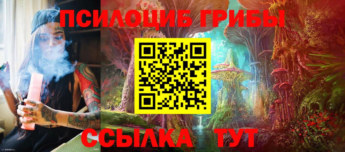 Псилоцибиновые грибы Magic Shrooms  Вход с VPN  купить  сайты  Карпинск 