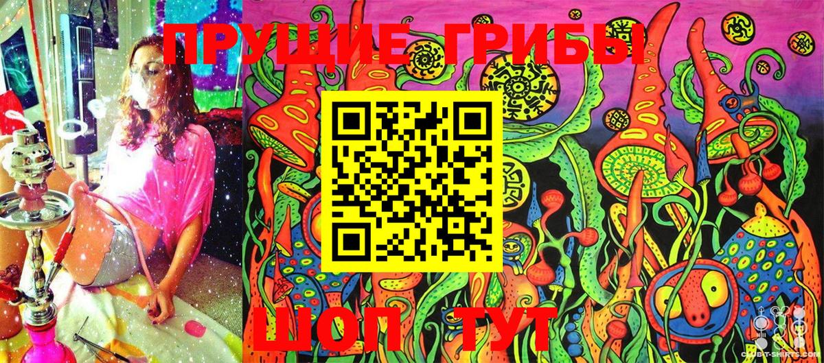 Псилоцибиновые грибы Cubensis Карпинск
